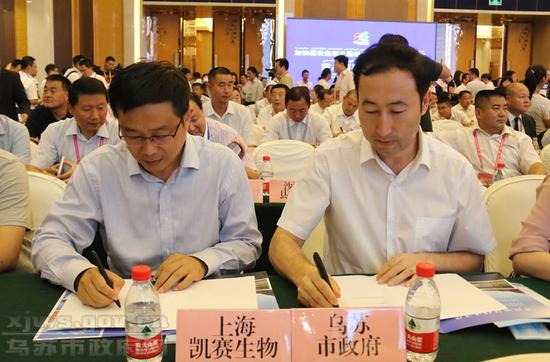 十一項簽約項目助力烏蘇市打造成為自治區紡織基地